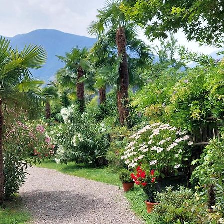 Nora S Home 5 - Panoramic Terrace & Bio Garden Merano Extérieur photo