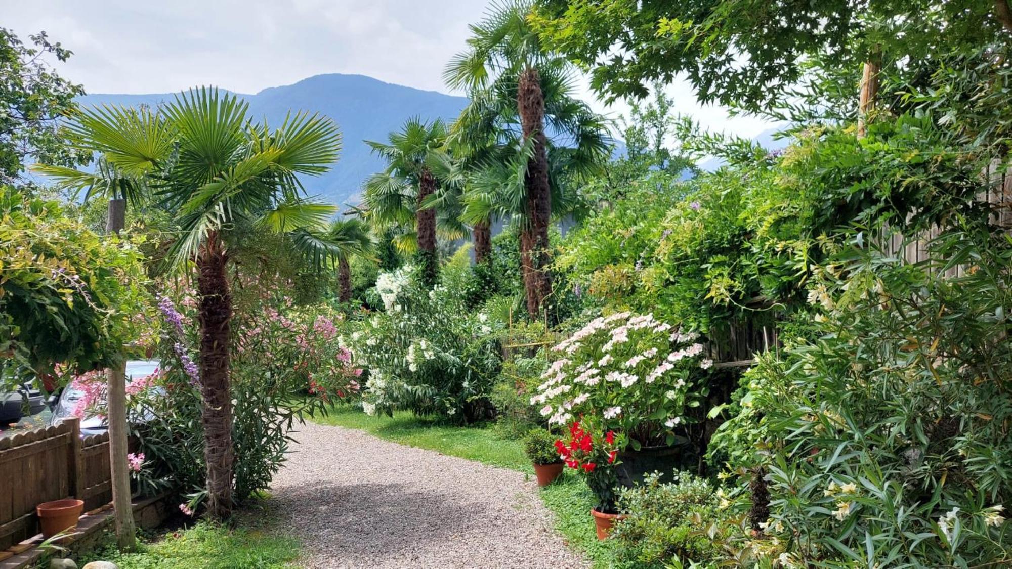 Nora S Home 5 - Panoramic Terrace & Bio Garden Merano Extérieur photo